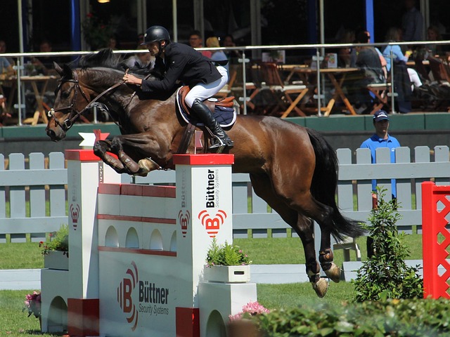 D站米兰哥第13集：以彼之道还施彼身和压力山大的裁判