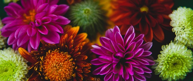 巴略斯密切 巴略斯密切