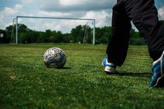 感谢姜宁和刘震理为中国足球、青岛足球、青岛海牛做出的贡献.