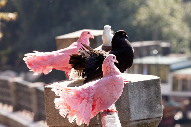 而是一支无 而是一支无